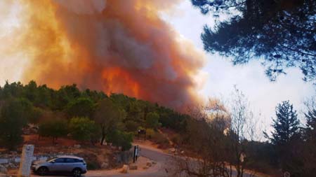 WhatsApp Image 2021-08-16 at 4.33.11 PM.jpeg.jpg